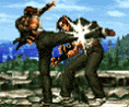 the king fighters
